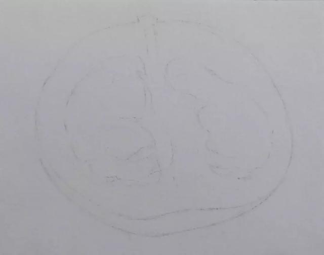 简笔画柚子怎么画，简笔画柚子怎么画好看（绘画~彩铅丨香甜可口的柚子）