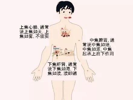 阳池的简易找法，阳池艾灸（搞懂了人体“三焦”）