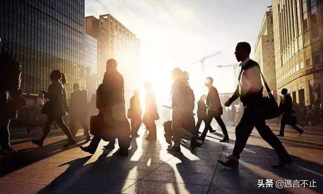 女王乔安小说简介及作者介绍，女王乔安小说（扬言揍人、涉嫌抄袭、雨天不点外卖的贵妇）