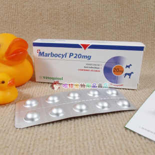 哪些消炎药可以给狗吃，可以给狗吃的消炎药有哪些（一些宠物常见的消炎药）