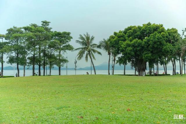 深圳哪里好玩又便宜，深圳哪里好玩又便宜的地方（《11月深圳打卡指南》来了）
