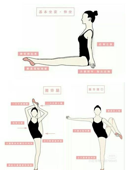 练舞蹈要练哪些基本功，练舞蹈要练哪些基本功视频（最全舞蹈基本功练习动作合集）