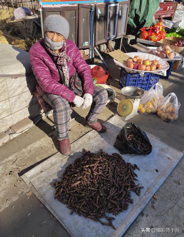 卜留克是什么菜，东北的卜留克学名叫什么（姜不辣等蔬菜名字很魔性）