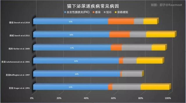 猫咪血尿解决办法，猫咪尿血尿的治疗方法（新手猫奴请收藏这篇文章）