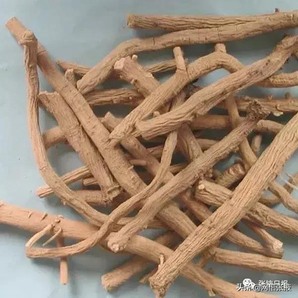 达仁堂阿魏化痞膏，阿魏化痞膏对癌症肿痛有缓解作用吗（“道地药材”成经济发展新的增长极）