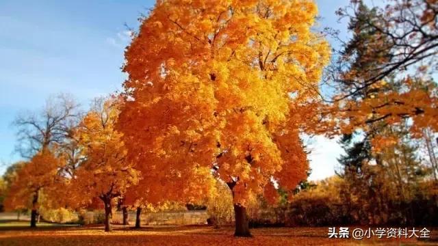 跟秋天有关的词语，与秋天有关的词语（关于秋天的好词、好句、好段、好诗）