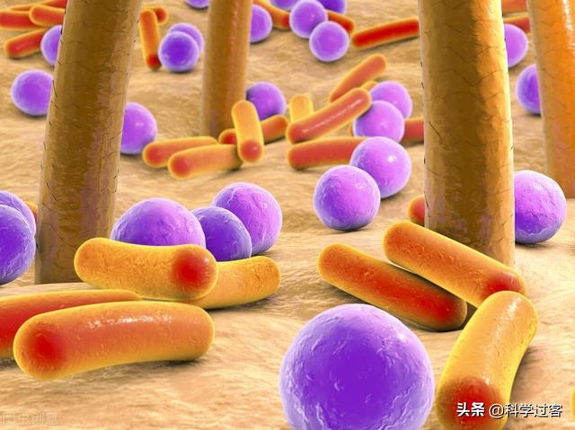 atp合成场所，ATP在哪里合成（仿生机器人、轮子和ATP合酶——漫谈仿生学）