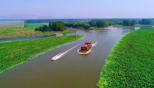 微山湖有哪些景区值得去玩，微山湖哪个景区最值得去（坐拥130000亩荷塘）