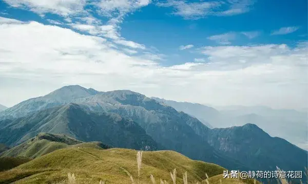 关于春天的诗歌，写给春天的诗歌仿写三年级（隔屏都感觉到了盎然生机与活力）