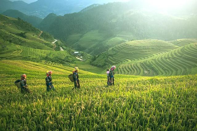 干饭是什么意思，网络词干饭是什么意思（中国干饭地图：天南海北）