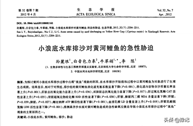 黄鲤鱼可以吃吗，黄金锦鲤鱼可以吃吗（还能不能成为“豫菜头牌”）