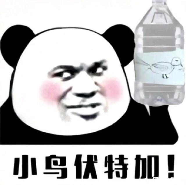 小鸟伏特加什么意思，小鸟伏特加（抖音小鸟伏特加表情包）