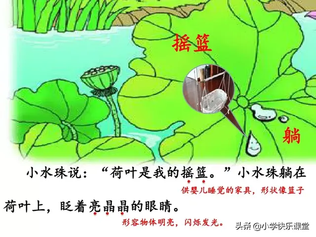 一什么荷叶一什么凉伞，荷叶是小雨的凉伞（小学部编版一年级下册语文课文13《荷叶圆圆》图文解读+知识点）
