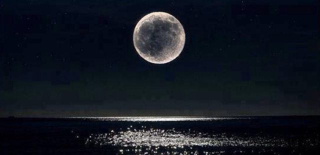 巨潮赶海好还是大潮,巨潮和大潮的不同之处(海边人跟你说——赶海入门