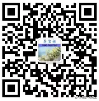 薄荷的功效与作用禁忌与副作用有哪些，薄荷的功效与作用和副作用（薄荷是药食两用的草本植物）