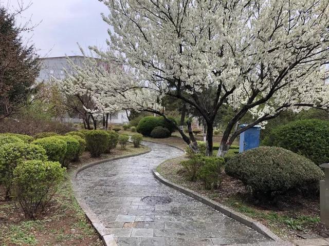 辽宁科技大学宿舍，2021年辽宁科技大学新生宿舍条件图片环境怎么样（<十五>辽宁科技大学）