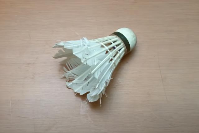 简易抓壁虎的方法，让壁虎们自己搬家