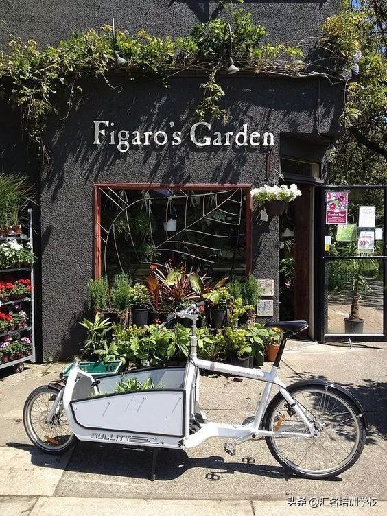 新手如何开花店(开个小型花店需要多少钱)