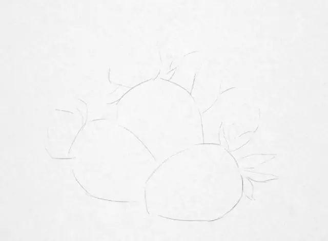 学画画零基础先学什么，零基础素描应该先练什么（零基础绘画教程，值得收藏）