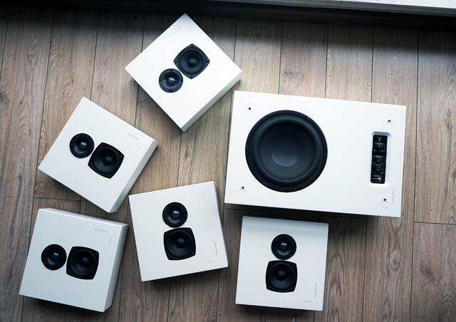 dls是什么意思，Flatmini