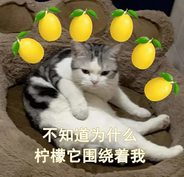 酸的英文sour，sour（“我酸了”用英语怎么说）