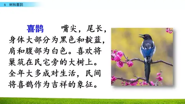 乐的偏旁，部编版一年级下册语文第6课《树和喜鹊》知识点+图文讲解