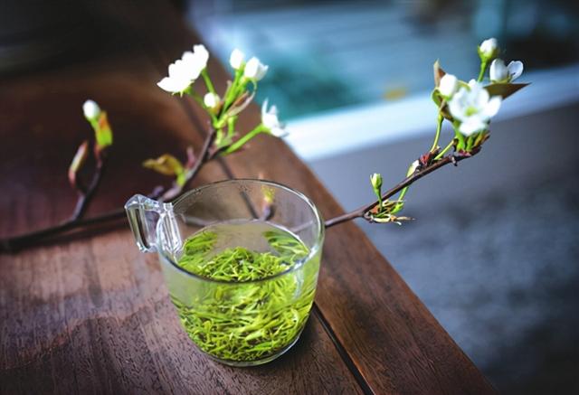 茶果间作种植方式的茶是什么，采用茶果间中种植的是什么茶（碧螺春是款什么茶）