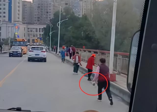 臭虫长得什么样子的，湖北十堰臭虫泛滥