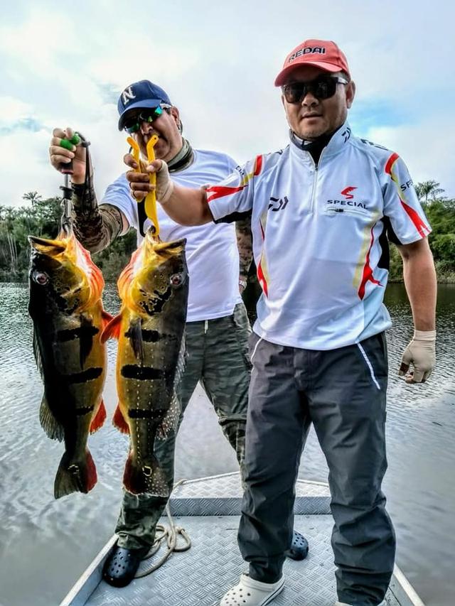 帝王三间和巴西亚鱼有什么区别，巴西亚鱼与皇冠三间鱼有什么区别（也许等不到中国钓鱼人就被消灭光了）