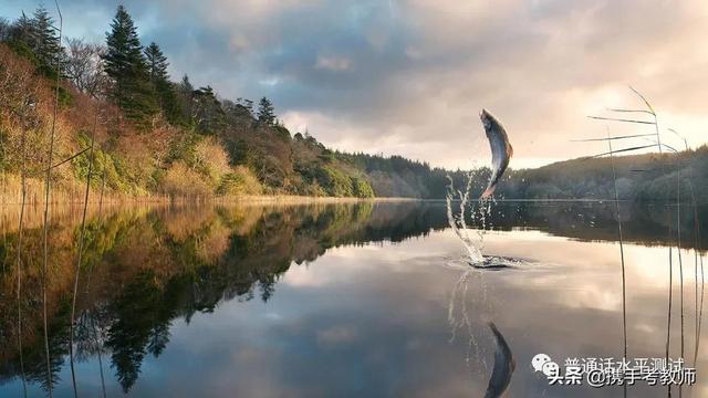 泼剌声的意思是什么，泼剌声的意思是什么最佳答案（泼剌的“剌”怎么读）