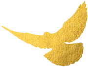 湖南有色金属职业技术学院官网，2021级湖南有色金属职业技术学院新生开学时间和入学指南及入学军训考试（湖南有色金属职业技术学院2020年单独招生指南）