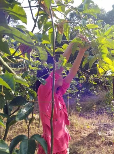 广西刑辩律师（奸杀）