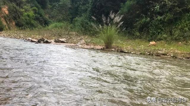 lol租号平台，lol租号平台app下载（本那河的由来，你了解多少）