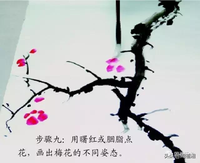 梅花13怎么手绘画，教梅花13怎么画（国画入门教程——梅花的画法）