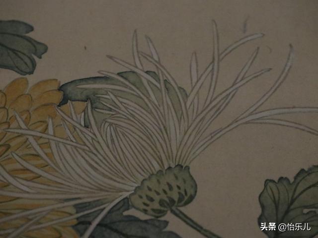 葩的读音（葩怎么读，葩是什么意思（金佛座、搓粉妆、绶带紫、鹤头丹）