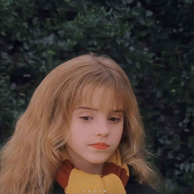 赫敏·格兰杰小天使［哈利.波特］，哈利波特女主角赫敏格兰杰（小赫敏感觉毛茸茸的图片）