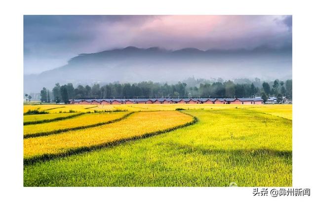 jkmtl00是什么型号，jkmal00是什么型号的（2020年凉山第二届全民手机摄影大展作品欣赏）