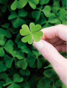 谢谢最深爱的你，童安格老婆廖海莉（童安格近况如何）