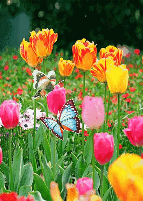 大彻大悟的10精美句子，大彻大悟的10个精美句子（累了就看看；大彻大悟）