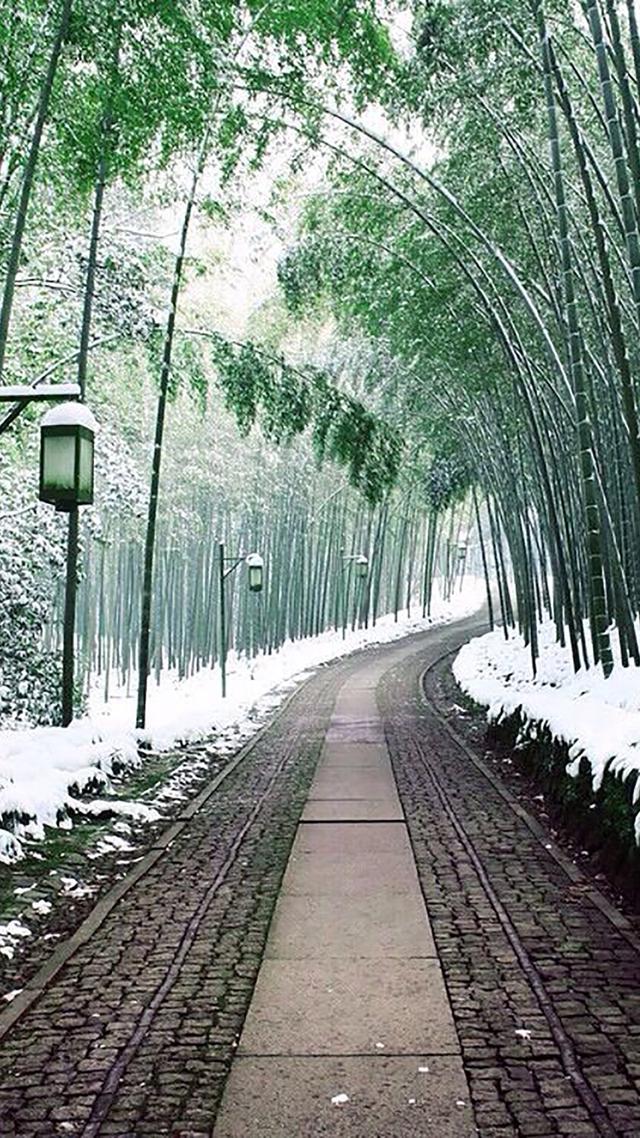 风景图片手机壁纸，超美风景手机壁纸高清（唯美手机锁屏风景壁纸）