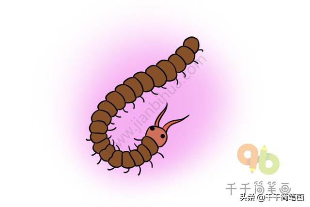 蚂蚁是不是昆虫，蚂蚁属于昆虫吗还是属于什么（儿童简笔画昆虫合集）