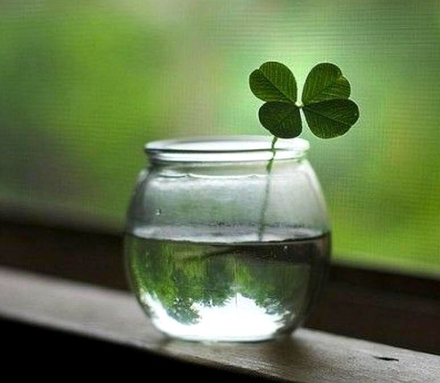 不识趣什么意思，不识趣的动物是什么数字动物（否则就是不识趣）