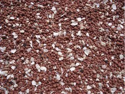 鸽子的养殖方法教程，鸽子养殖技术:新手如何养鸽子（一年只需投入万元，鸽子怎么养）