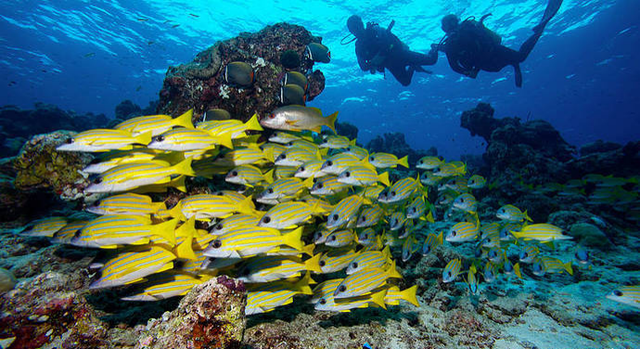 马尔代夫旅游要多少钱，2021年春节能去马尔代夫吗（能不能去马尔代夫自由旅行）