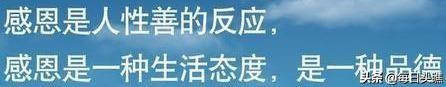 知恩而感恩更要报恩不要嘲笑别人，忘记有恩别人