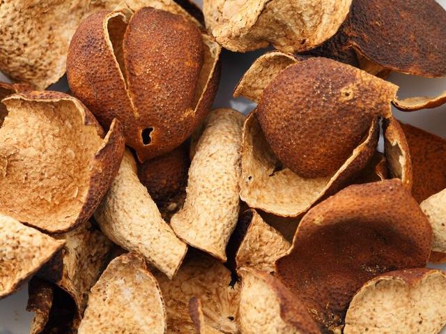 四君子汤标准配方，四君子汤配方是什么（健脾益胃、燥湿止泻精神好）