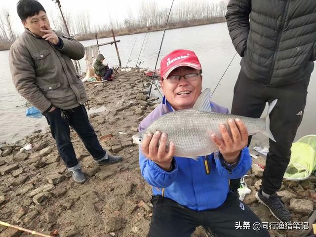 直柄和枪柄的区别，怎么区分直柄和枪柄（由直柄和枪柄的区别说开来）