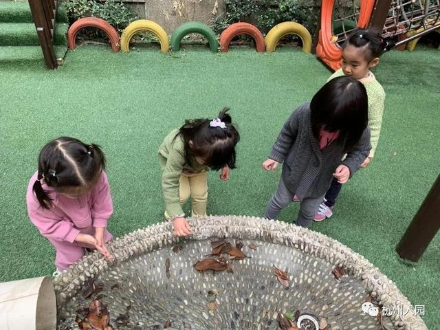 杭州近江民办幼儿园排名，杭州10所学费低的民办幼儿园