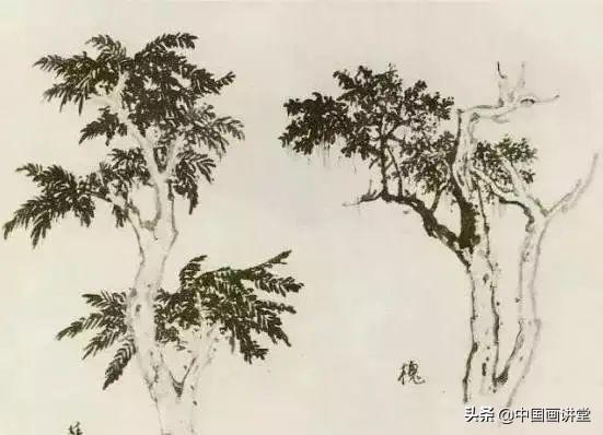 大树怎么画，大树怎么画的特别好看（缠枝、挺杆、屈节、钮裂、一棵树如何画）