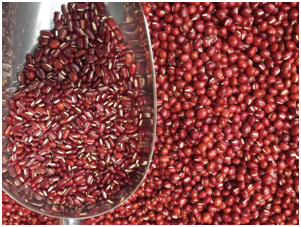 赤小豆图片和红豆图片，怎样区分赤小豆与红豆（利水消肿的赤小豆）